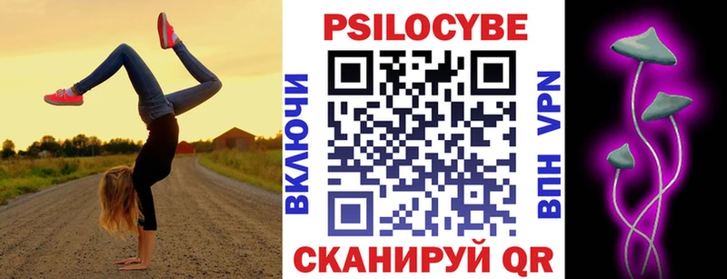 OMG маркетплейс  продажа наркотиков  Верхний Уфалей  Псилоцибиновые грибы Psilocybine cubensis 